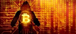 Crypto Scams